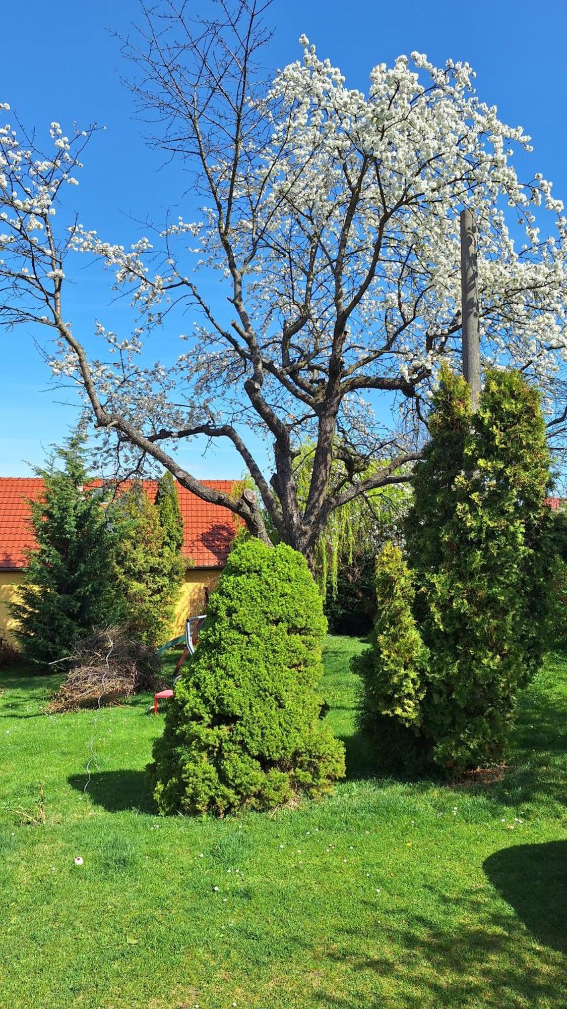 Prague Zbraslav Old Garden Apartment Exterior photo